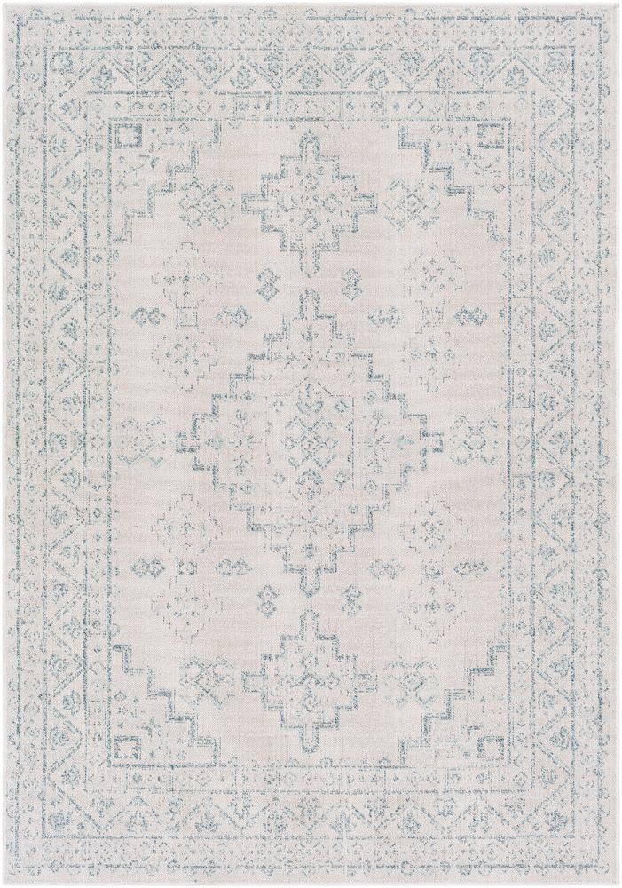 Livabliss - Veranda 67inx9 Machine Woven Rug - VRD2311-679_CLOSEOUT veiw 1