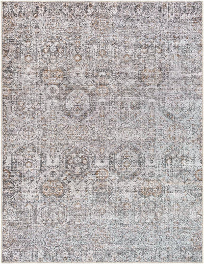 Livabliss - Vinny 53inx7 Machine Woven Rug - VNY2309-537 veiw 1