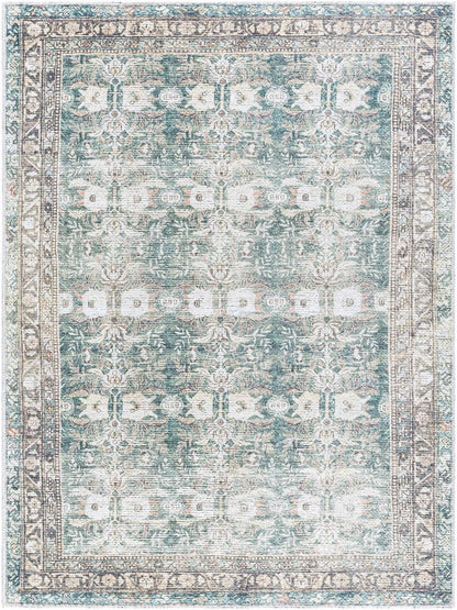 Livabliss - Vinny 53inx7 Machine Woven Rug - VNY2316-537 veiw 1