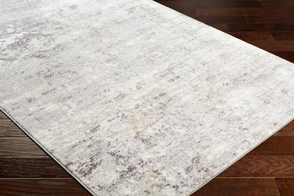 Livabliss - Wanderlust 53inx73in Machine Woven Rug - WNL2310-5373 veiw 3