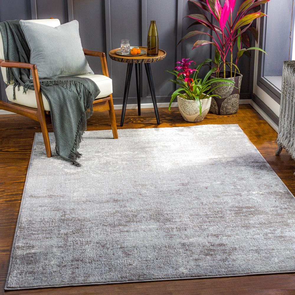 Livabliss - Wanderlust 2x211in Machine Woven Rug - WNL2329-23 veiw 2