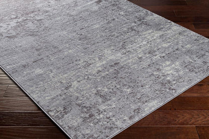Livabliss - Wanderlust 2x211in Machine Woven Rug - WNL2330-23 veiw 3