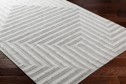 Livabliss - West Palm 27inx73in Machine Woven Rug - WPM2304-2773 veiw 3