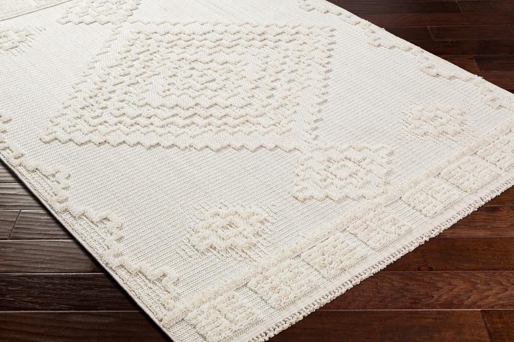 Livabliss - Zaragoza 53inx7 Machine Woven Rug - ZRZ2316-537 veiw 3