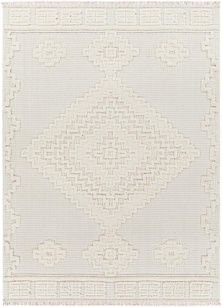 Livabliss - Zaragoza 67inx9 Machine Woven Rug - ZRZ2316-679 veiw 1