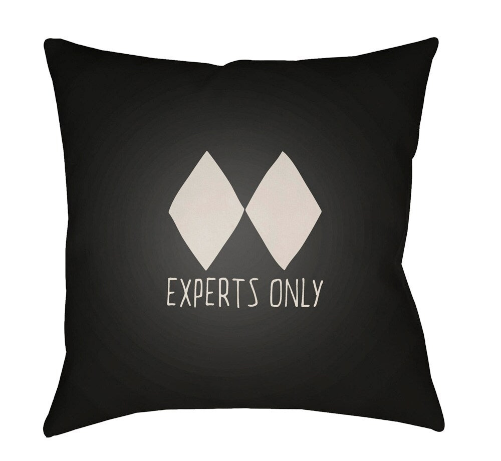 Livabliss - Black Diamond 20inLx20inW Accent Pillow - SKI002-2020 veiw 1