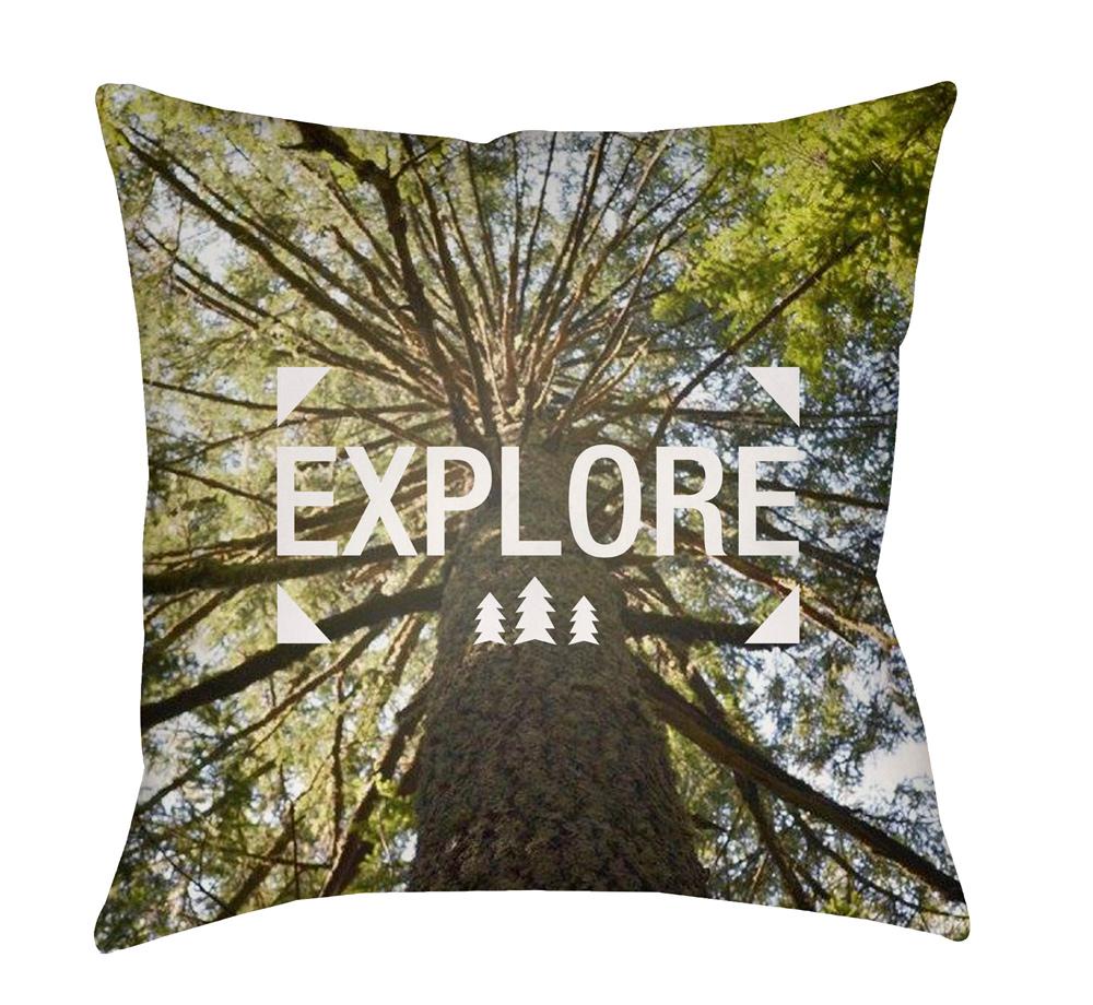 Livabliss - Explore 18inLx18inW Accent Pillow - EXP001-1818 veiw 1