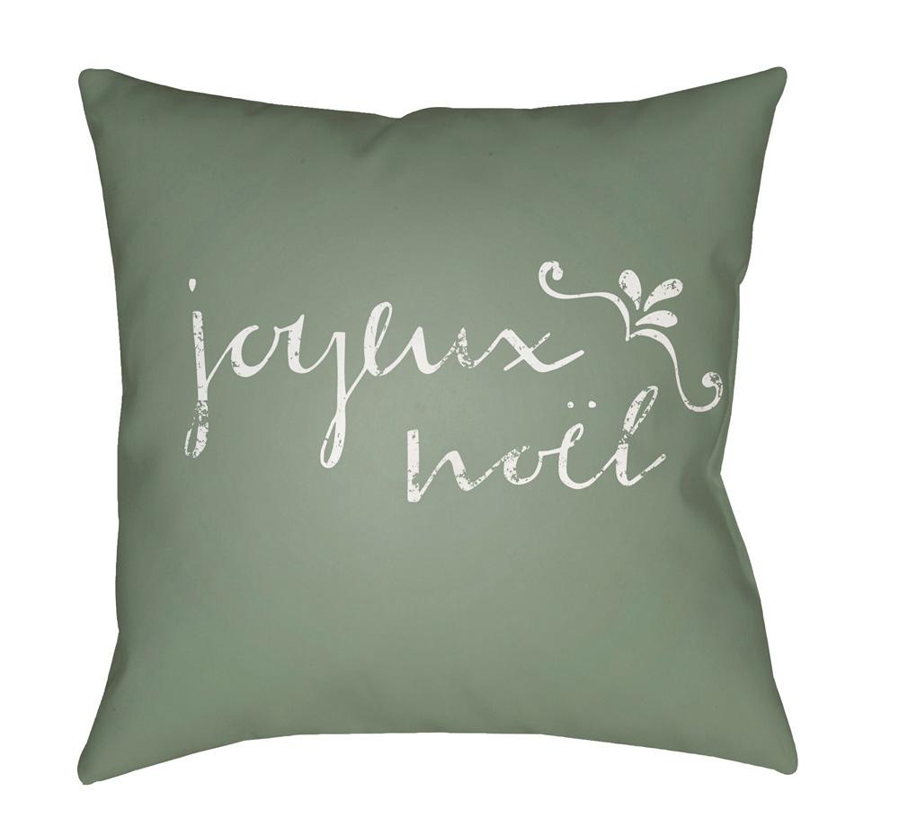 Livabliss - Joyeux 20inLx20inW Accent Pillow - JOY016-2020 veiw 1