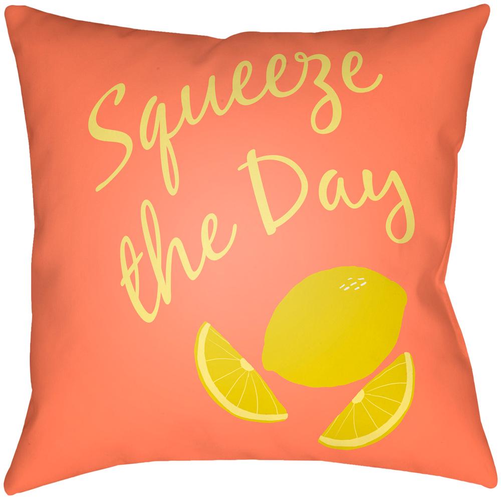 Livabliss - Summer 18inLx18inW Accent Pillow - SUM001-1818 veiw 1
