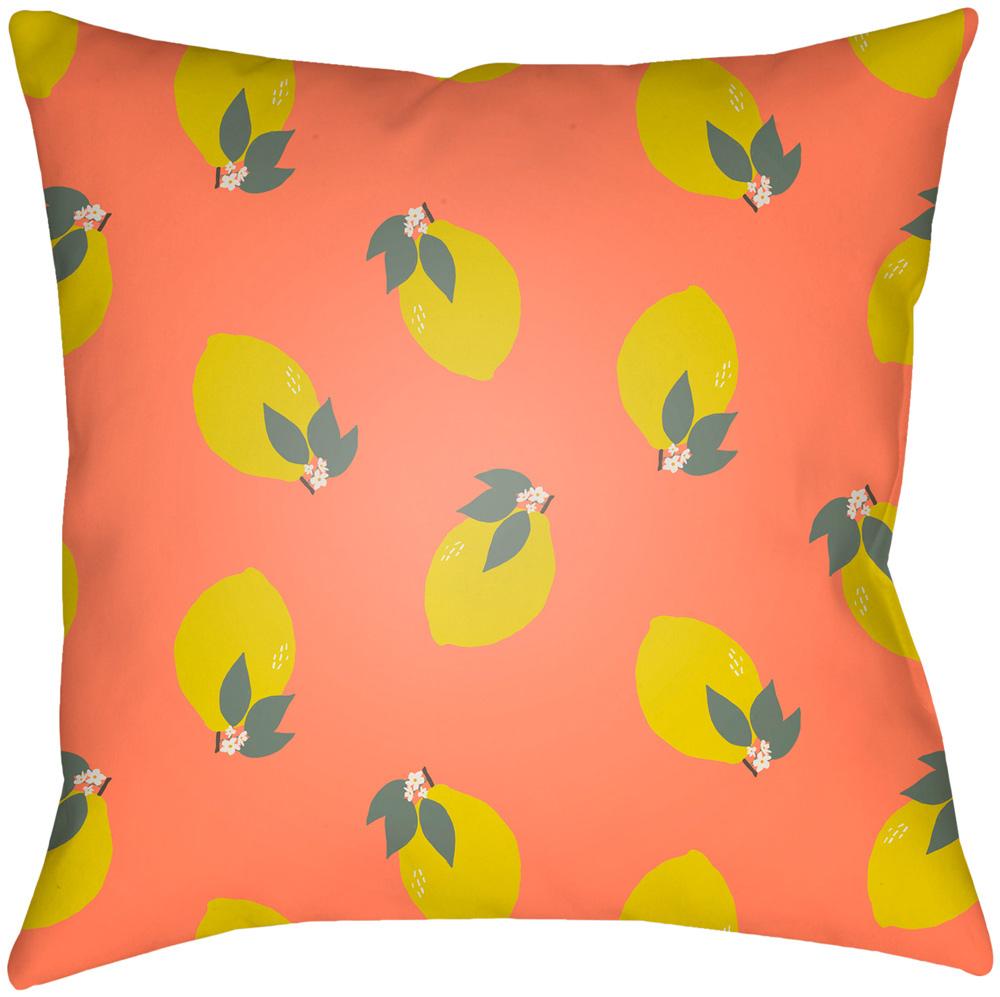 Livabliss - Summer 20inLx20inW Accent Pillow - SUM002-2020 veiw 1