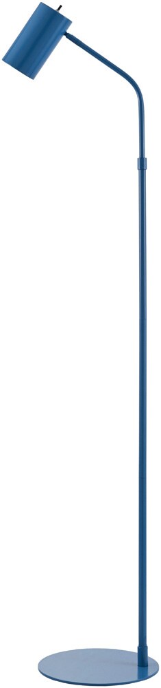 Livabliss - Ivel Accent Floor Lamp - Blue - IVE-002 veiw 1