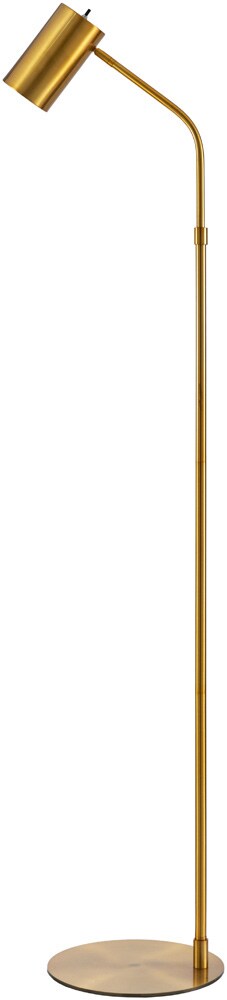 Livabliss - Ivel Accent Floor Lamp - Gold - IVE-004 veiw 1