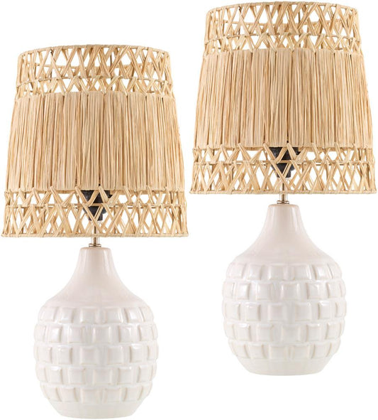 Livabliss - Wisterian Accent Table Lamp - Gray - WST001-SET veiw 1