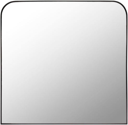 Livabliss - Aranya Accent Mirror - Black - RAY007-3635 veiw 1