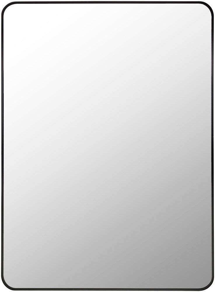 Livabliss - Aranya Accent Mirror - Black - RAY023-3041 veiw 1