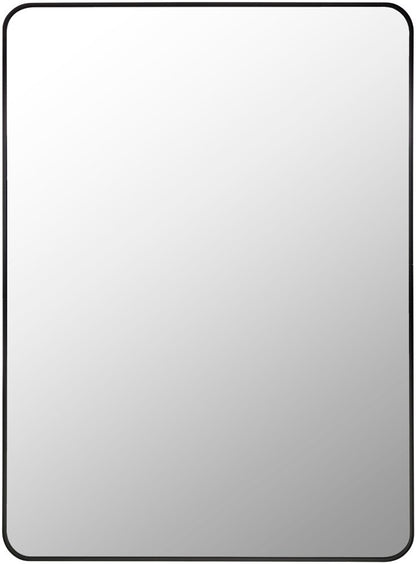 Livabliss - Aranya Accent Mirror - Black - RAY023-3041 veiw 1