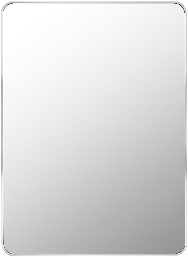 Livabliss - Aranya Accent Mirror - Metallic - Silver - RAY025-3041 veiw 1