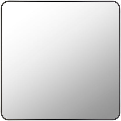 Livabliss - Aranya Accent Mirror - Black - RAY031-3232 veiw 1