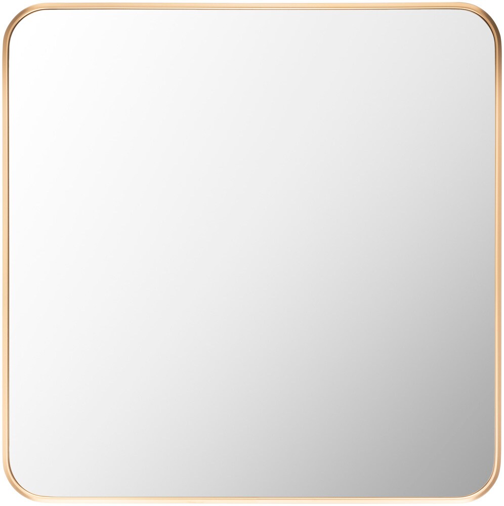 Livabliss - Aranya Accent Mirror - Gold - RAY032-2424 veiw 1