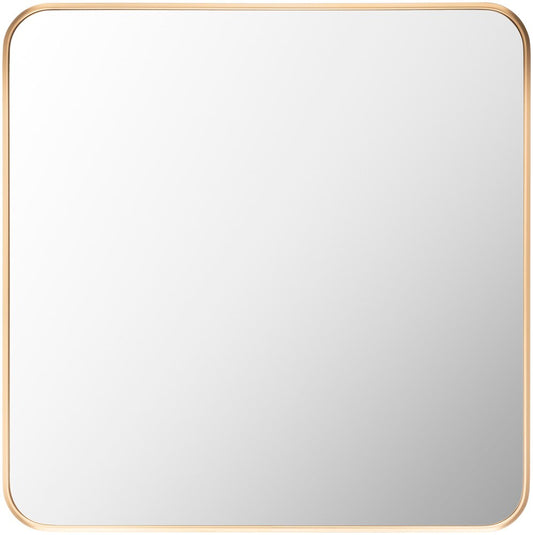 Livabliss - Aranya Accent Mirror - Gold - RAY032-2424 veiw 1