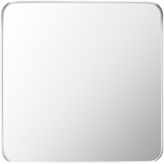 Livabliss - Aranya Accent Mirror - Metallic - Silver - RAY033-2424 veiw 1