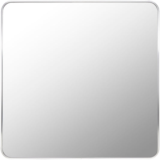 Livabliss - Aranya Accent Mirror - Metallic - Silver - RAY033-3232 veiw 1