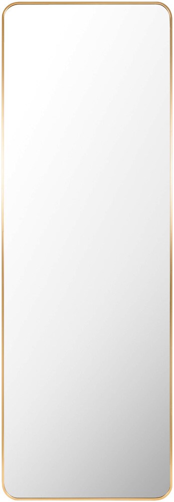 Livabliss - Aranya Full Length Mirror - Gold - RAY043-2265 veiw 1