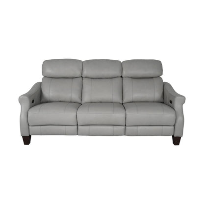 Armen Living - Felicity 84in Zero Gravity Power Reclining Sofa in Silver Leather - LCFE3LSI veiw 1