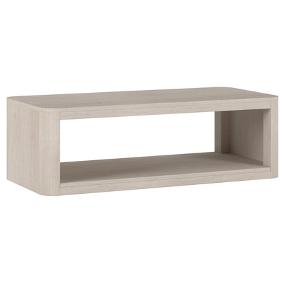 Hudson & Canal - Kellan 47in Wide Rectangular Coffee Table in Alder White - CT2177 veiw 1