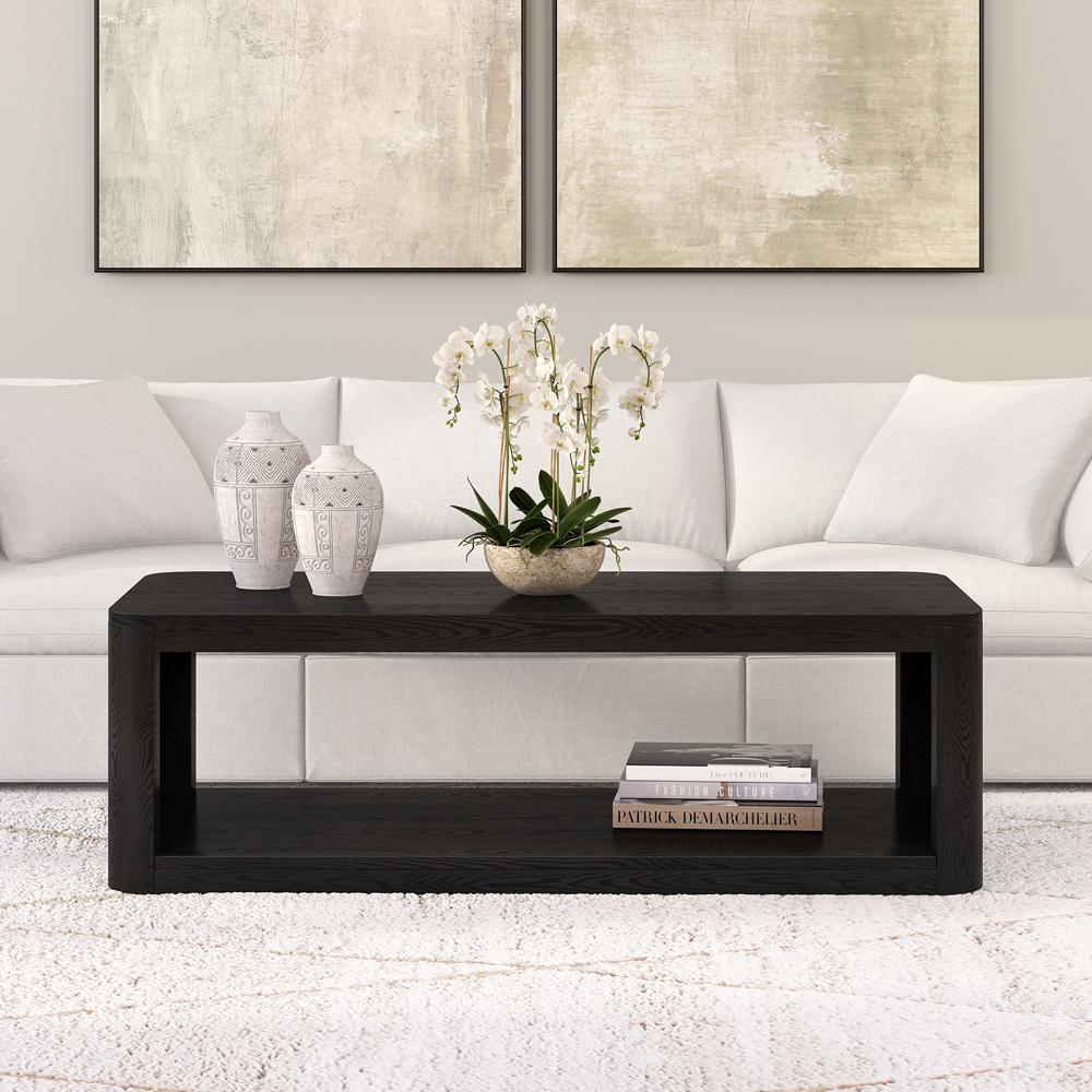 Hudson & Canal - Kellan 47in Wide Rectangular Coffee Table in Black Grain - CT2176 veiw 4