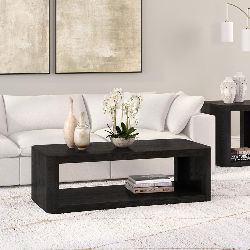 Hudson & Canal - Kellan 47in Wide Rectangular Coffee Table in Black Grain - CT2176 veiw 5