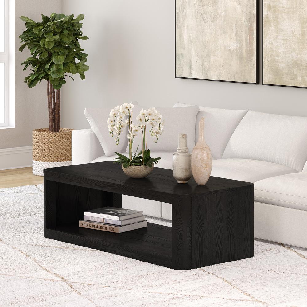 Hudson & Canal - Kellan 47in Wide Rectangular Coffee Table in Black Grain - CT2176 veiw 6