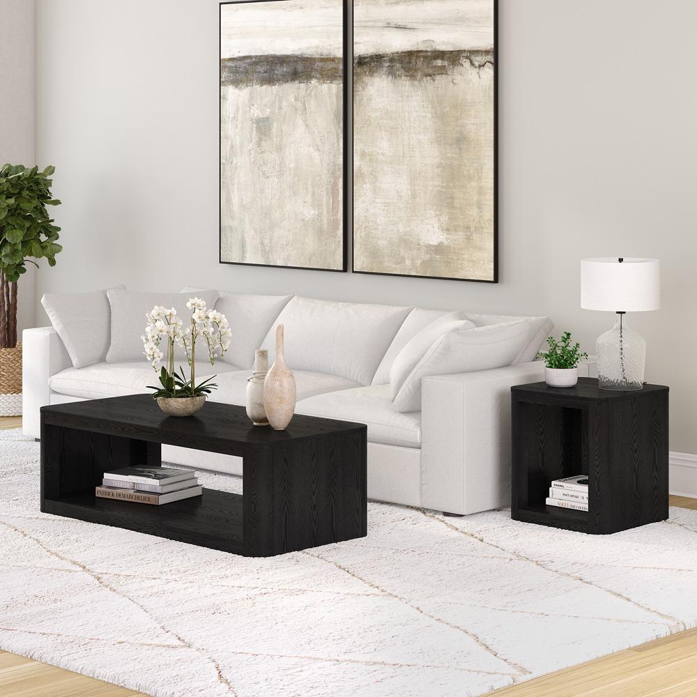 Hudson & Canal - Kellan 47in Wide Rectangular Coffee Table in Black Grain - CT2176 veiw 7