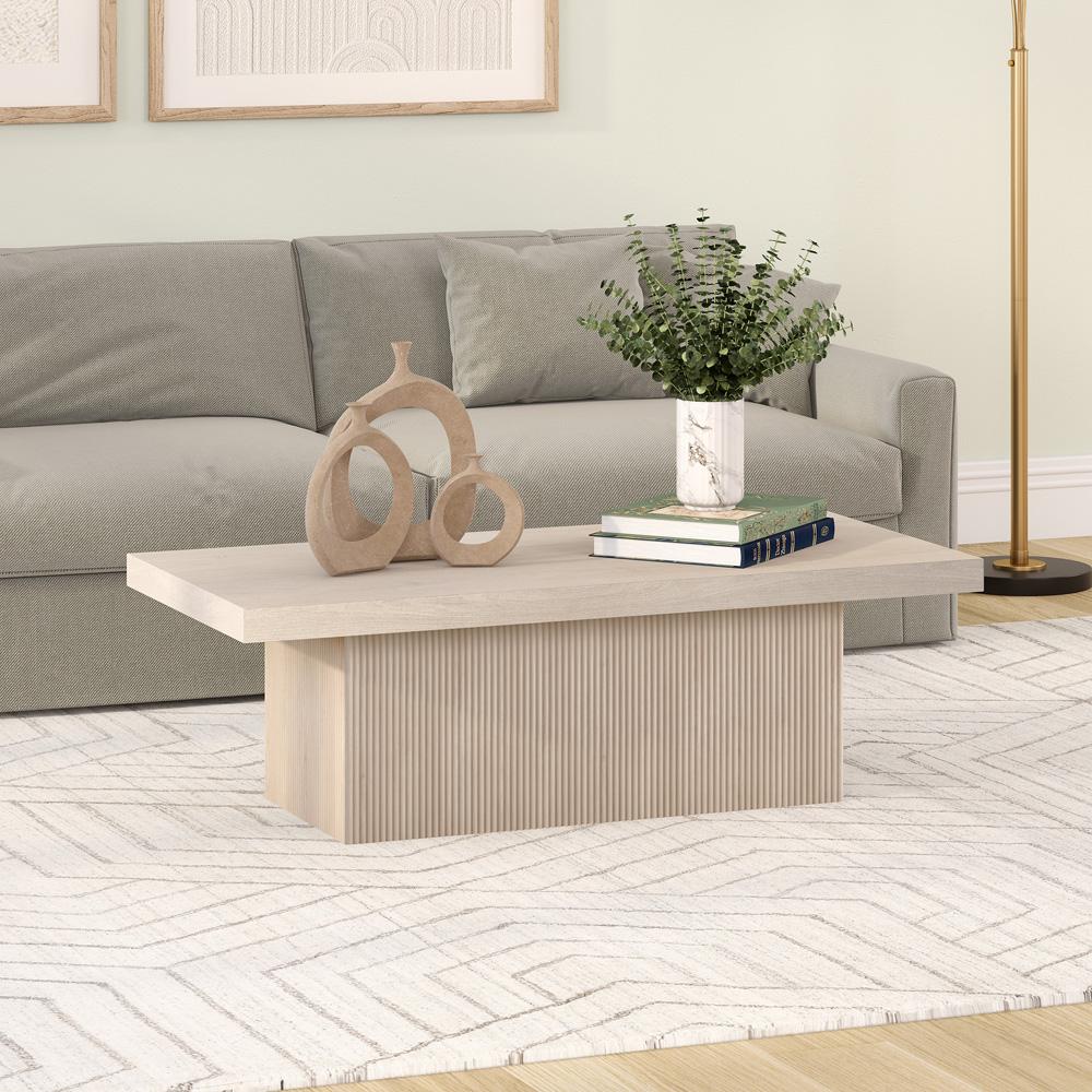 Hudson & Canal - Torren 48in Wide Rectangular Coffee Table in Alder White - CT2264 veiw 4