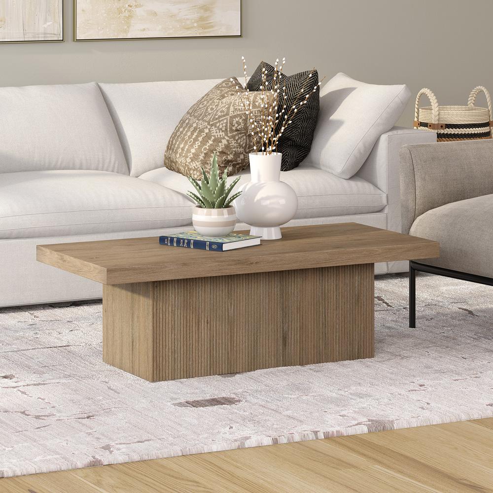 Hudson & Canal - Torren 48in Wide Rectangular Coffee Table in Antiqued Gray Oak - CT2265 veiw 4