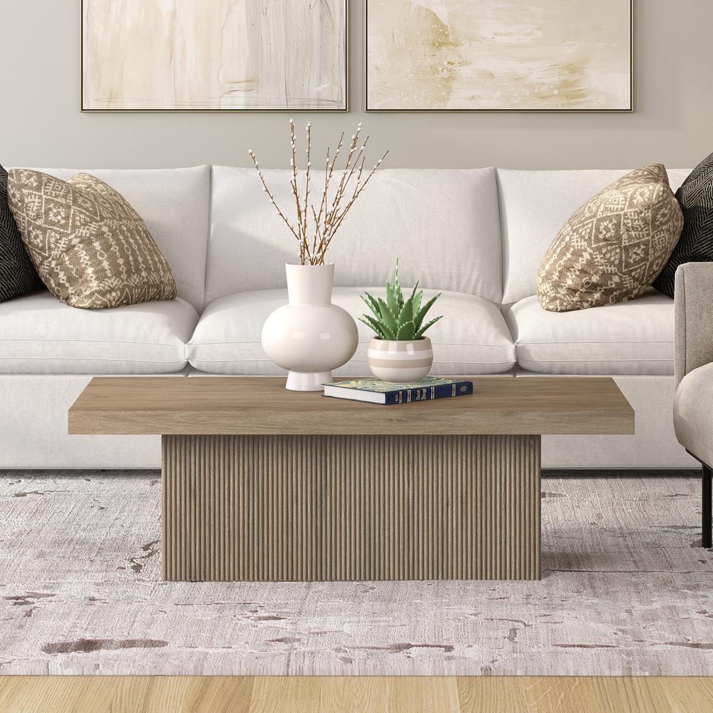Hudson & Canal - Torren 48in Wide Rectangular Coffee Table in Antiqued Gray Oak - CT2265 veiw 5