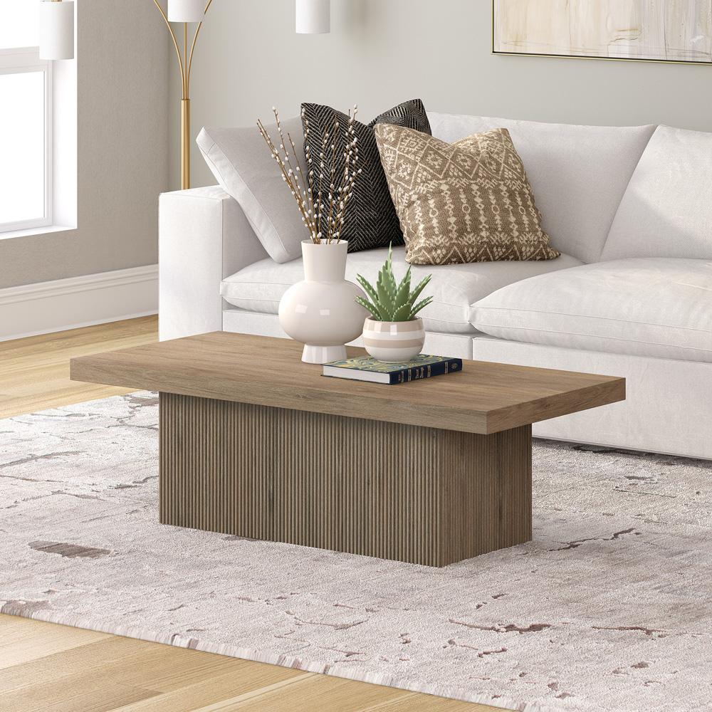 Hudson & Canal - Torren 48in Wide Rectangular Coffee Table in Antiqued Gray Oak - CT2265 veiw 6