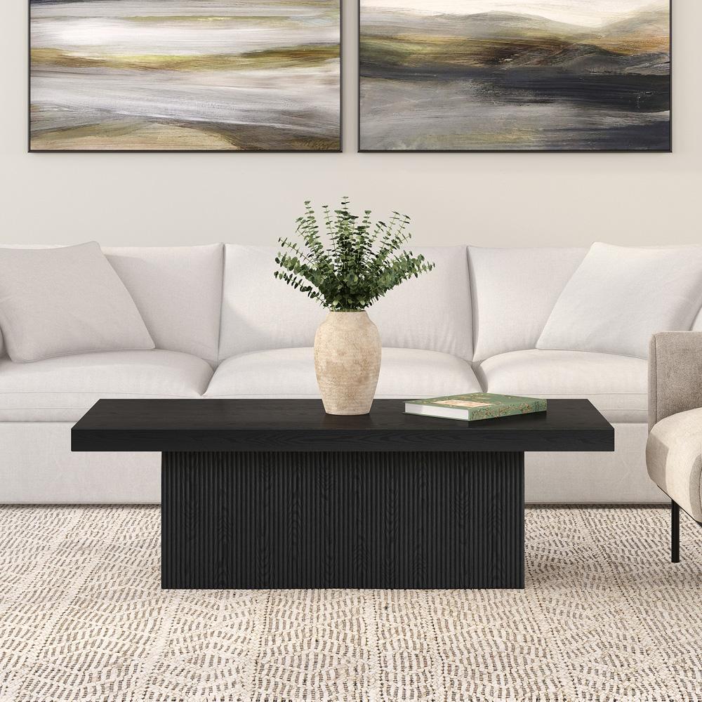 Hudson & Canal - Torren 48in Wide Rectangular Coffee Table in Black Grain - CT2263 veiw 4