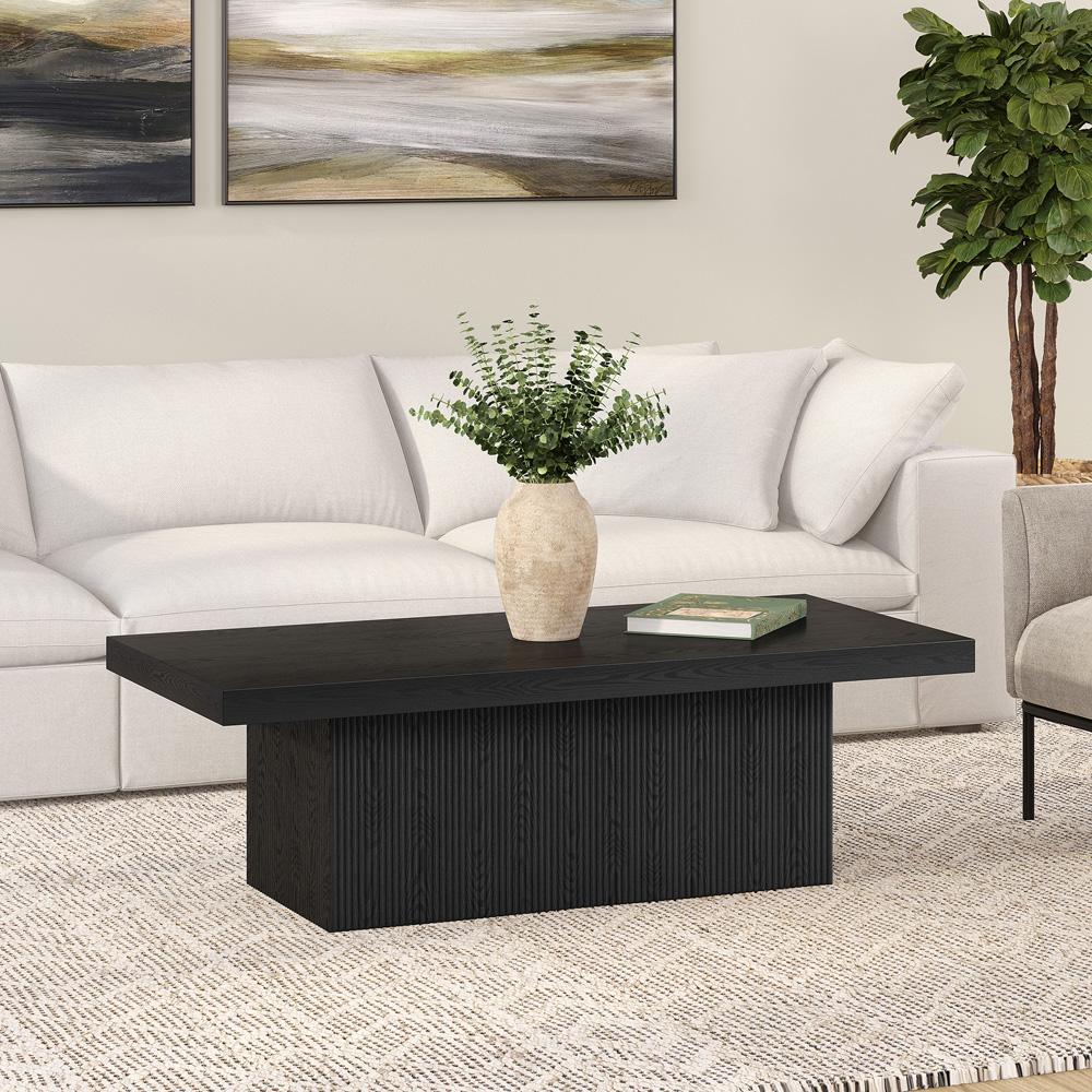 Hudson & Canal - Torren 48in Wide Rectangular Coffee Table in Black Grain - CT2263 veiw 5
