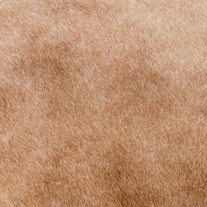 Classic Home - Bose 26in Hide Leather Counter Stool In Blonde - 53002059 veiw 6