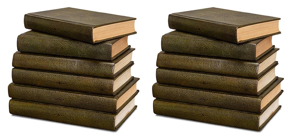 Sarreid Ltd - Shagreen Books, Set Of 12, Leaf - 54077-3 veiw 1