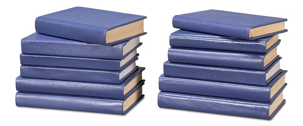 Sarreid Ltd - Shagreen Books, Set Of 12, Marlin - 54009-2 veiw 1