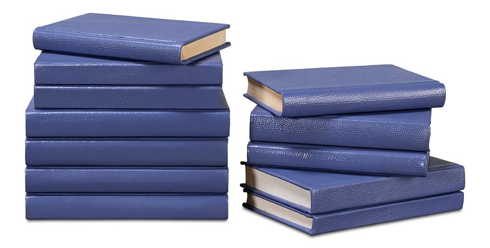 Sarreid Ltd - Shagreen Books, Set Of 12, Marlin - 54009-2 veiw 4