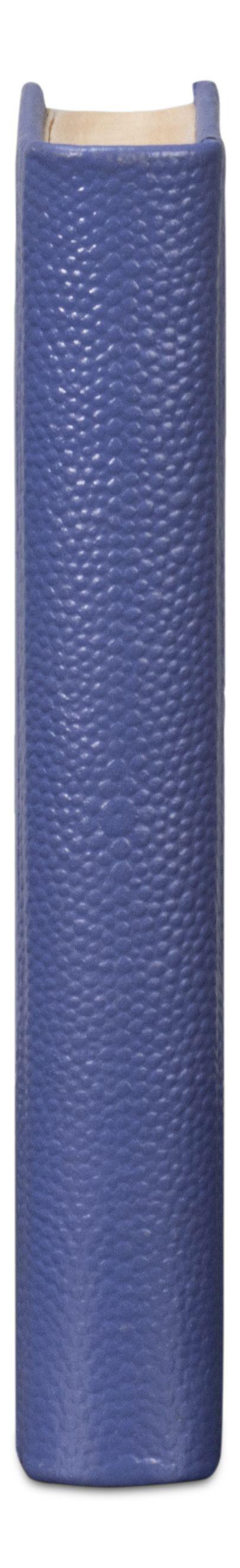 Sarreid Ltd - Shagreen Books, Set Of 12, Marlin - 54009-2 veiw 6