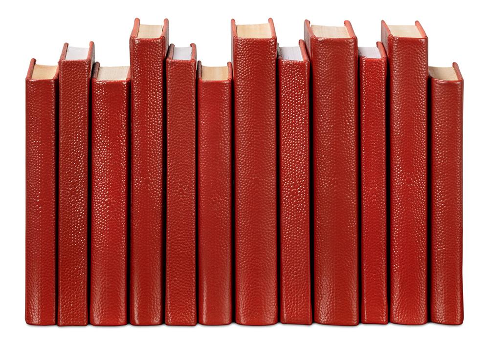 Sarreid Ltd - Shagreen Books, Set Of 12, Rooibos Tea - 54009-8 veiw 2