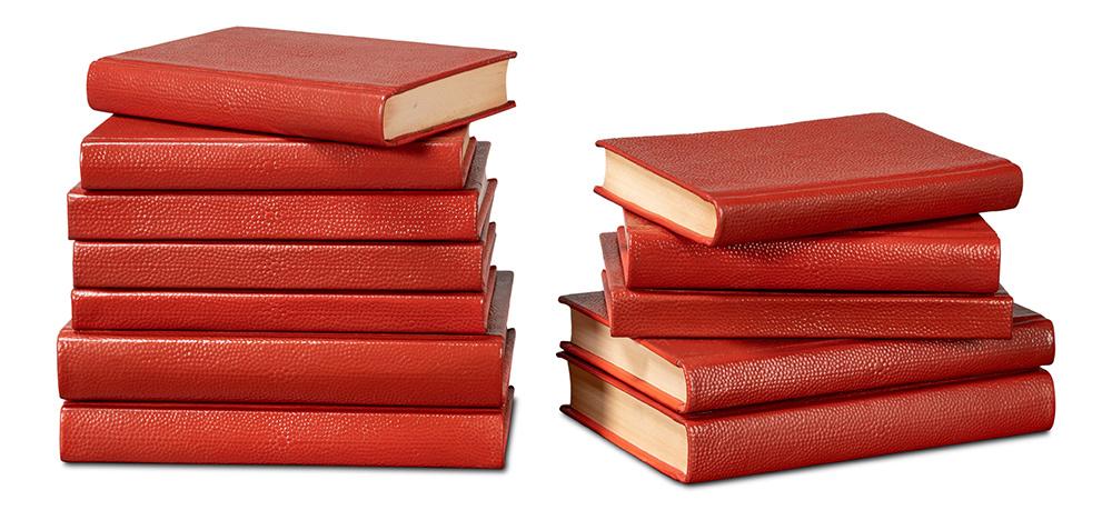 Sarreid Ltd - Shagreen Books, Set Of 12, Rooibos Tea - 54009-8 veiw 4