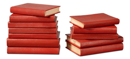 Sarreid Ltd - Shagreen Books, Set Of 12, Rooibos Tea - 54009-8 veiw 4