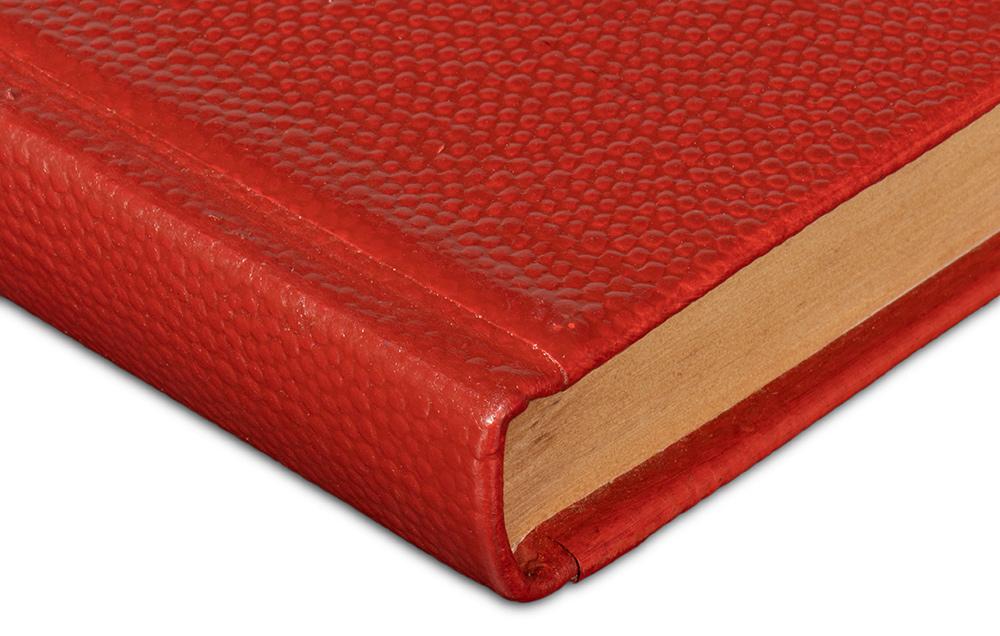 Sarreid Ltd - Shagreen Books, Set Of 12, Rooibos Tea - 54009-8 veiw 9