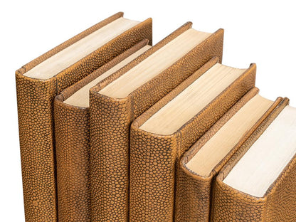 Sarreid Ltd - Shagreen Books, Set Of 12, Tawny Brown - 54077-5 veiw 8