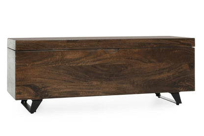 Kosas Home - Axis 46in Storage Trunk Dark Brown - 52005585 veiw 1